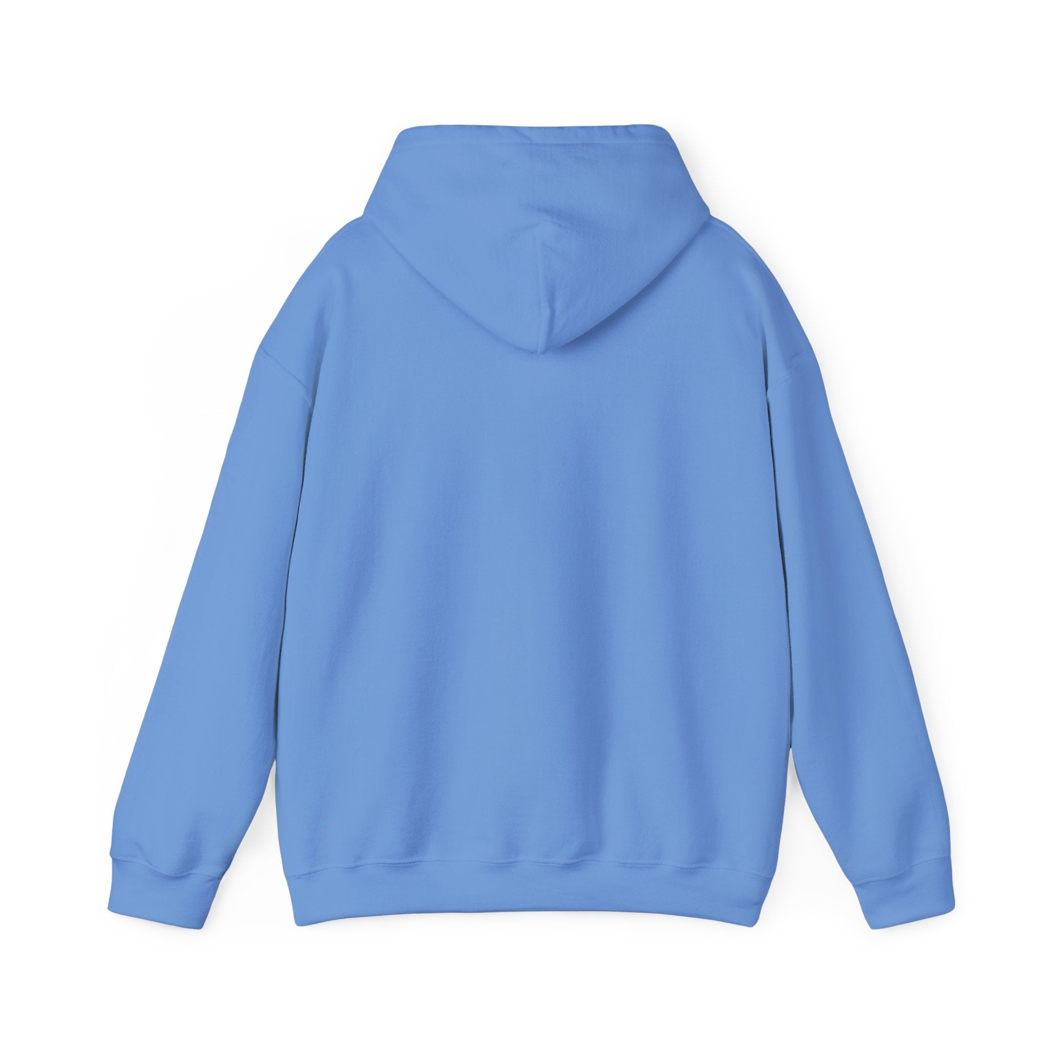 The Broke College Kid Crest — BCK Vintage Collegiate Emblem Hoodie