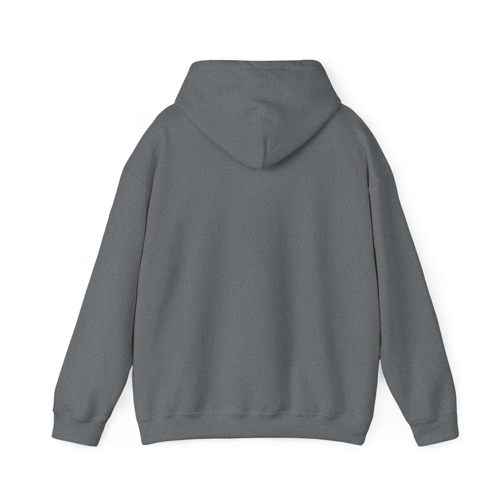 The Broke College Kid Crest — BCK Vintage Collegiate Emblem Hoodie