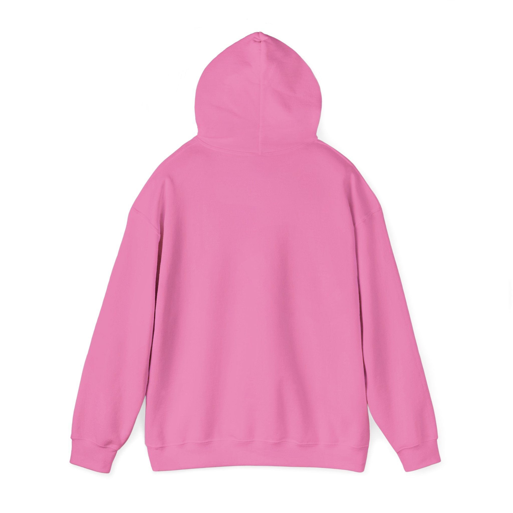 The Broke College Kid Crest — BCK Vintage Collegiate Emblem Hoodie