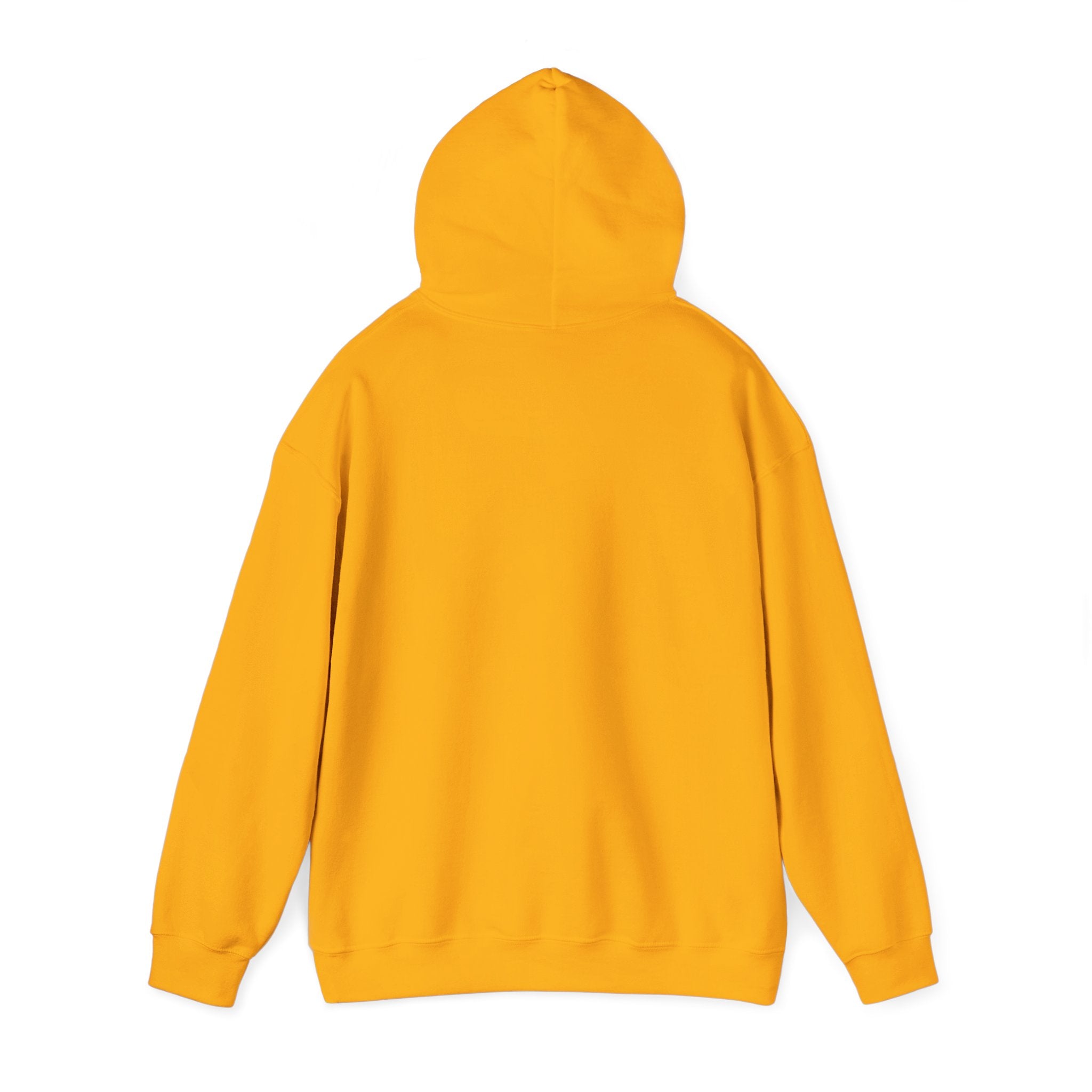 The Broke College Kid Crest — BCK Vintage Collegiate Emblem Hoodie