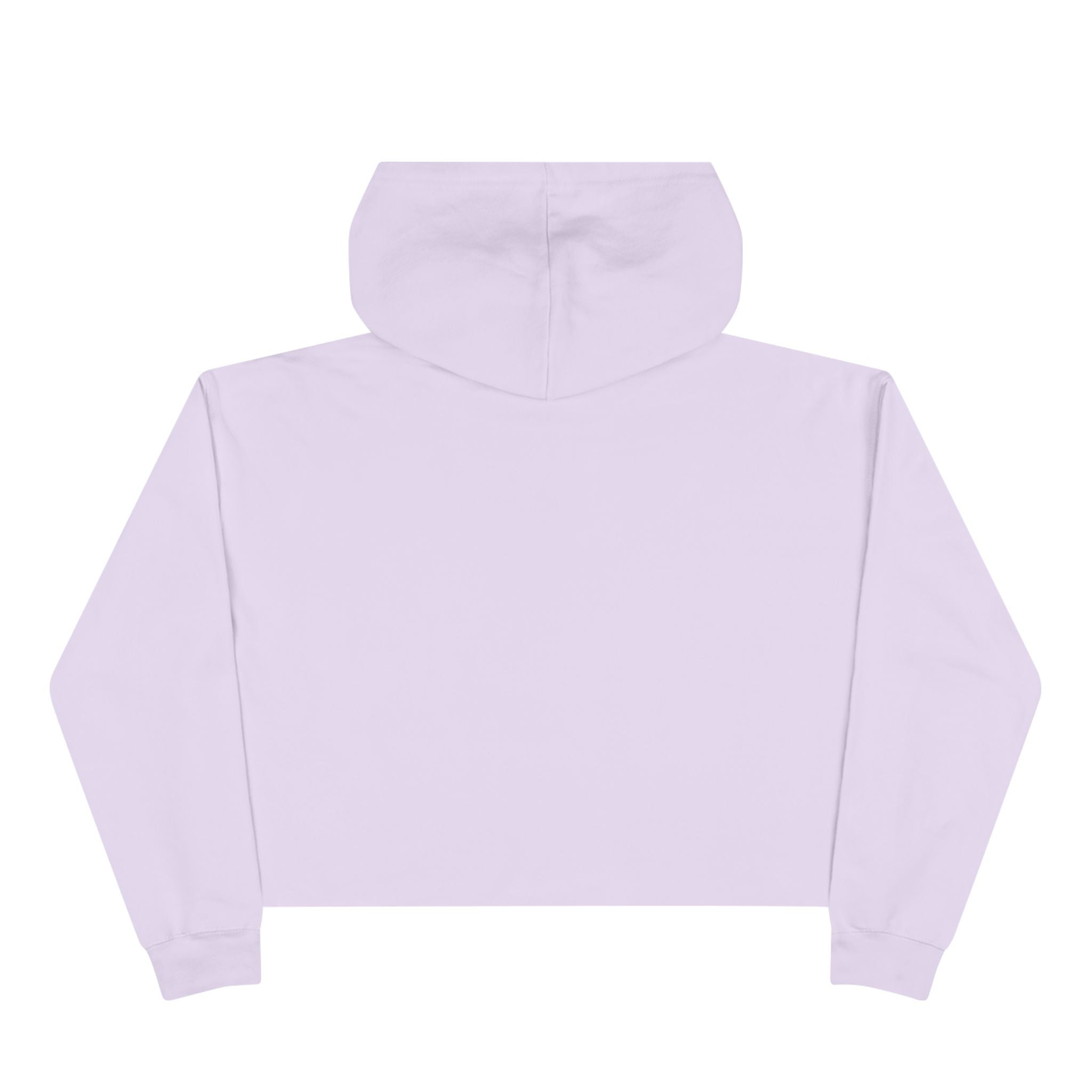 Broke College Kid Crest Crop Hoodie — BCK Vintage Logo