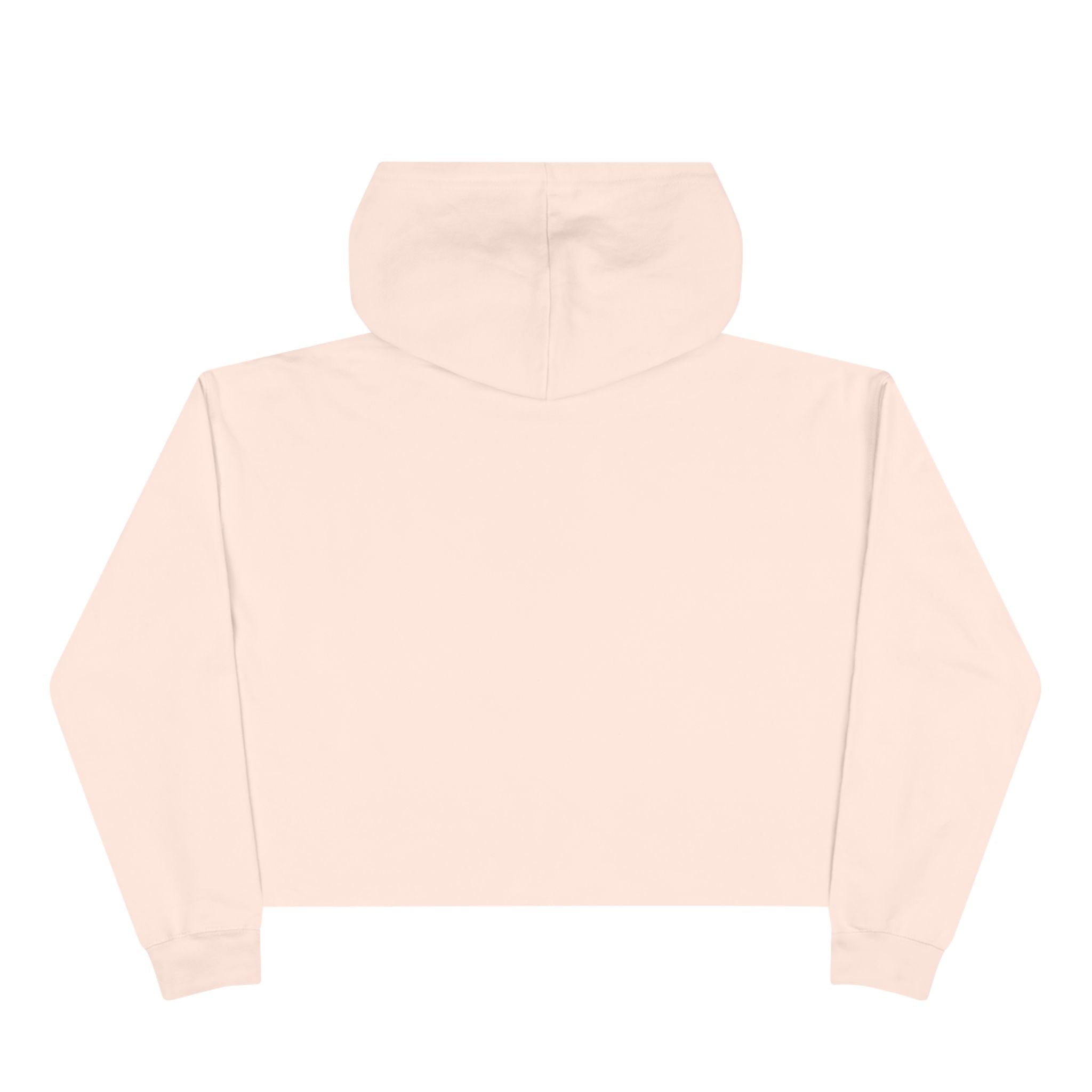 Broke College Kid Crest Crop Hoodie — BCK Vintage Logo