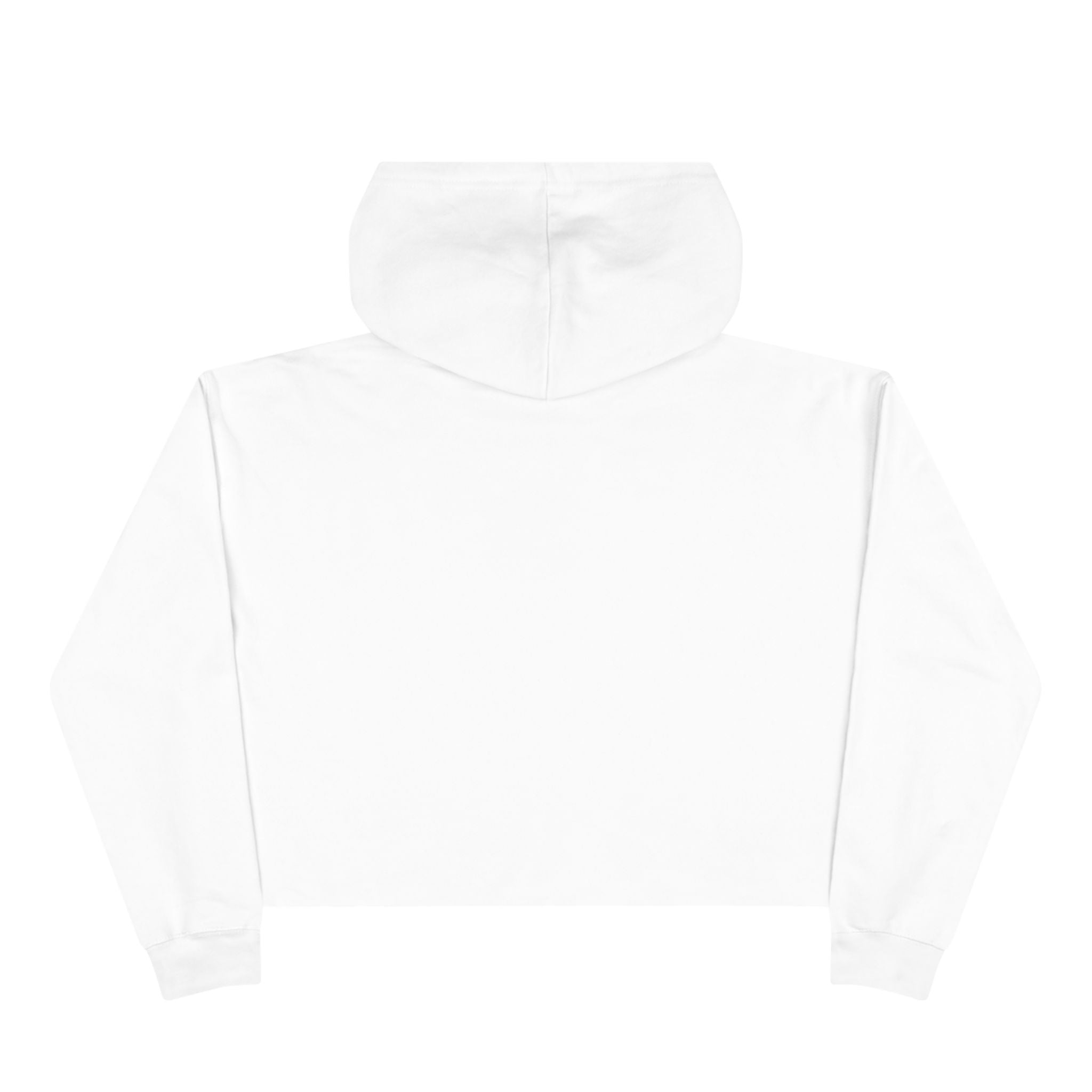 Broke College Kid Crest Crop Hoodie — BCK Vintage Logo