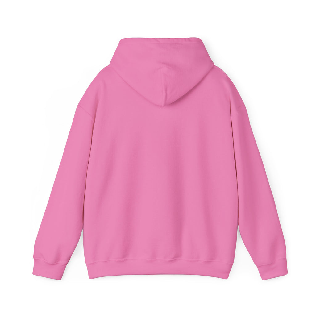 The Broke College Kid Crest — BCK Vintage Collegiate Emblem Hoodie