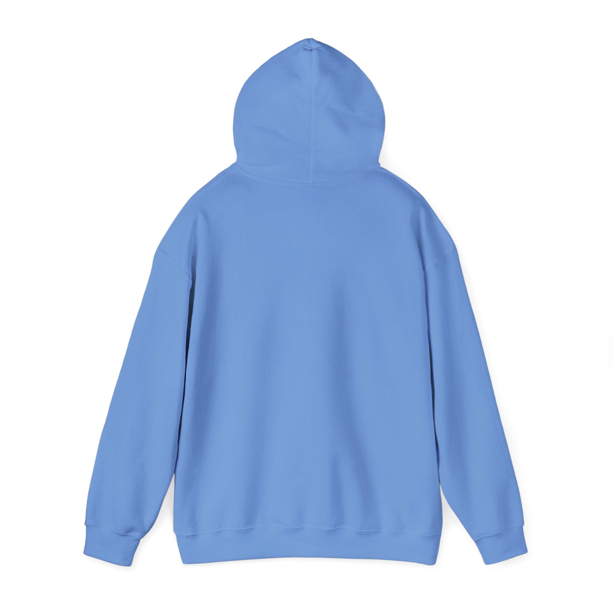 The Broke College Kid Crest — BCK Vintage Collegiate Emblem Hoodie