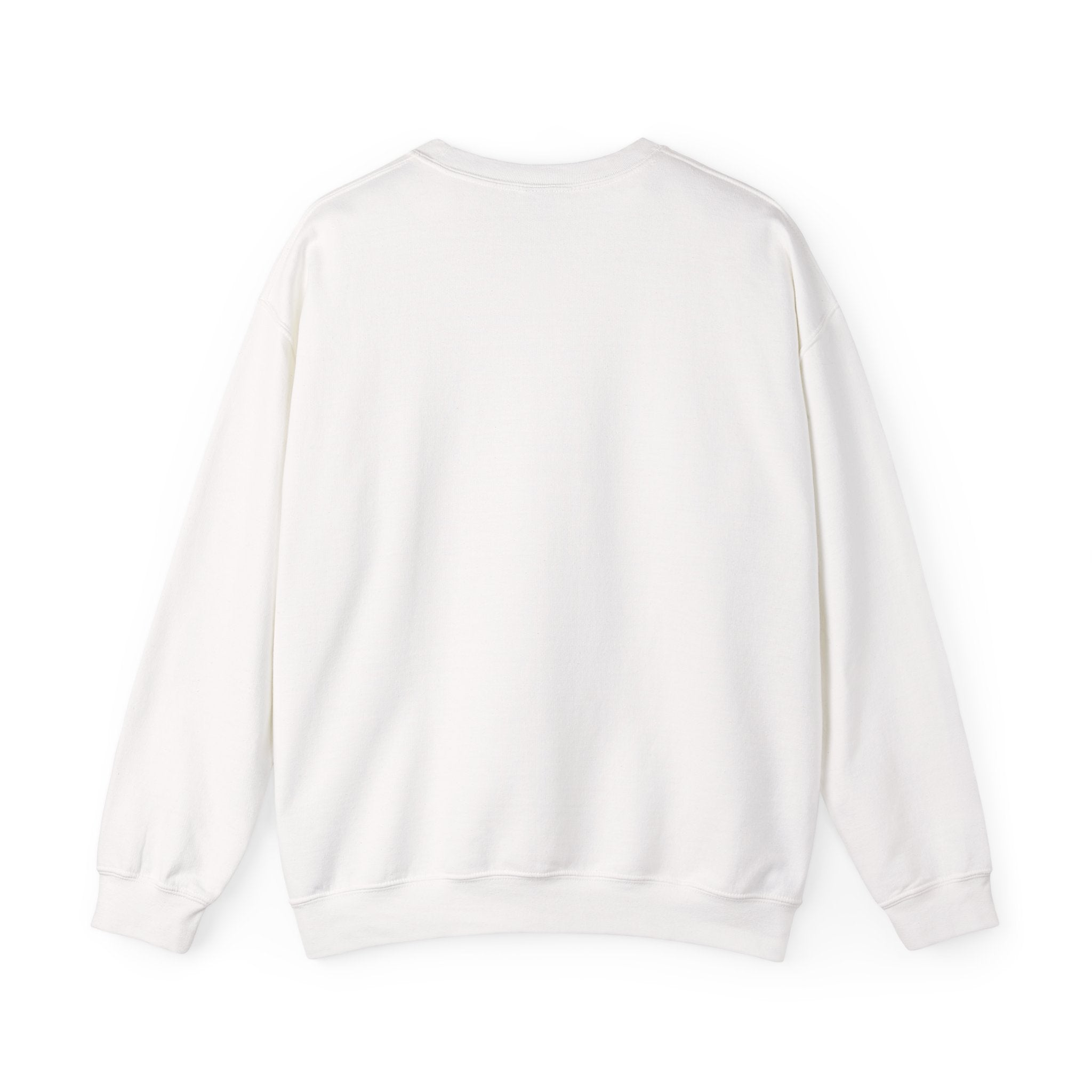 The Broke College Kid Crewneck Sweatshirt — BCK Crest College Hoodie Style