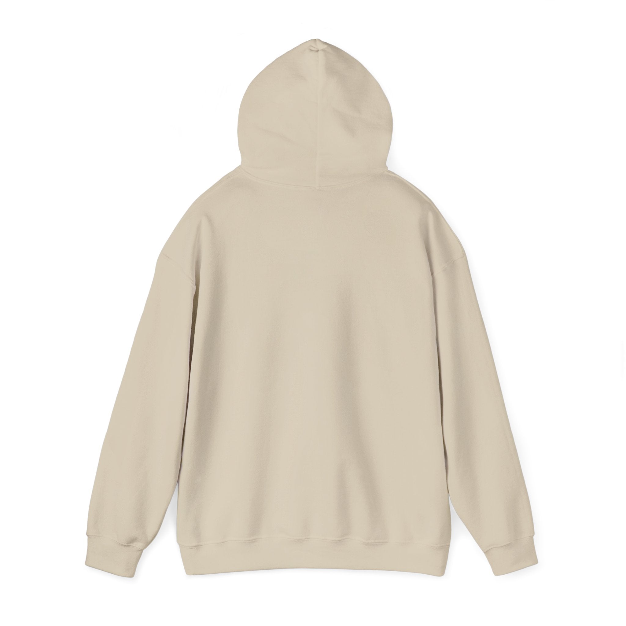 The Broke College Kid Crest — BCK Vintage Collegiate Emblem Hoodie