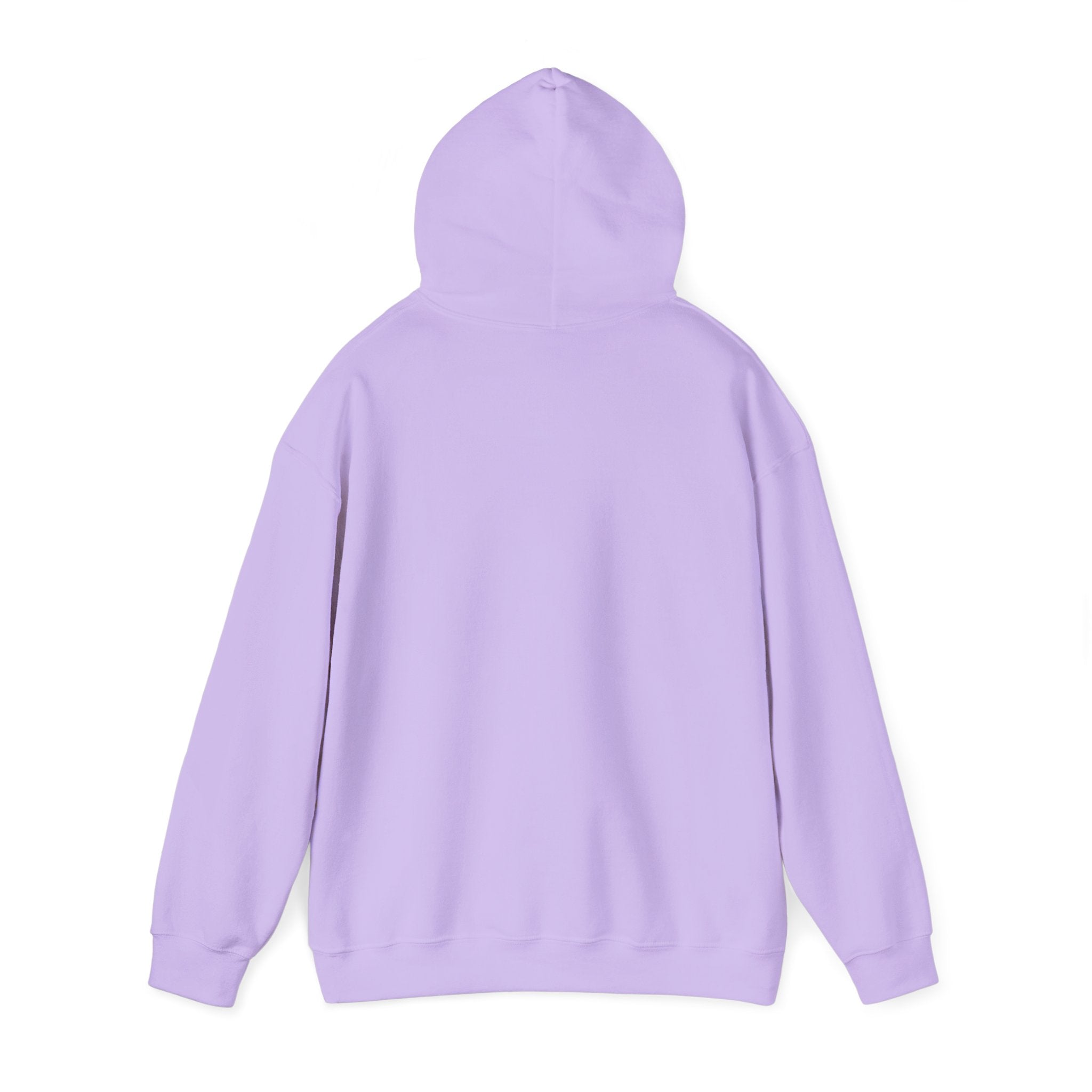 The Broke College Kid Crest — BCK Vintage Collegiate Emblem Hoodie