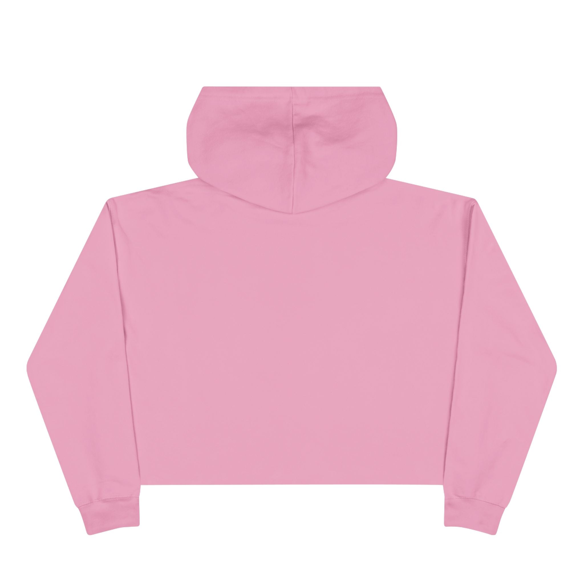 Broke College Kid Crest Crop Hoodie — BCK Vintage Logo
