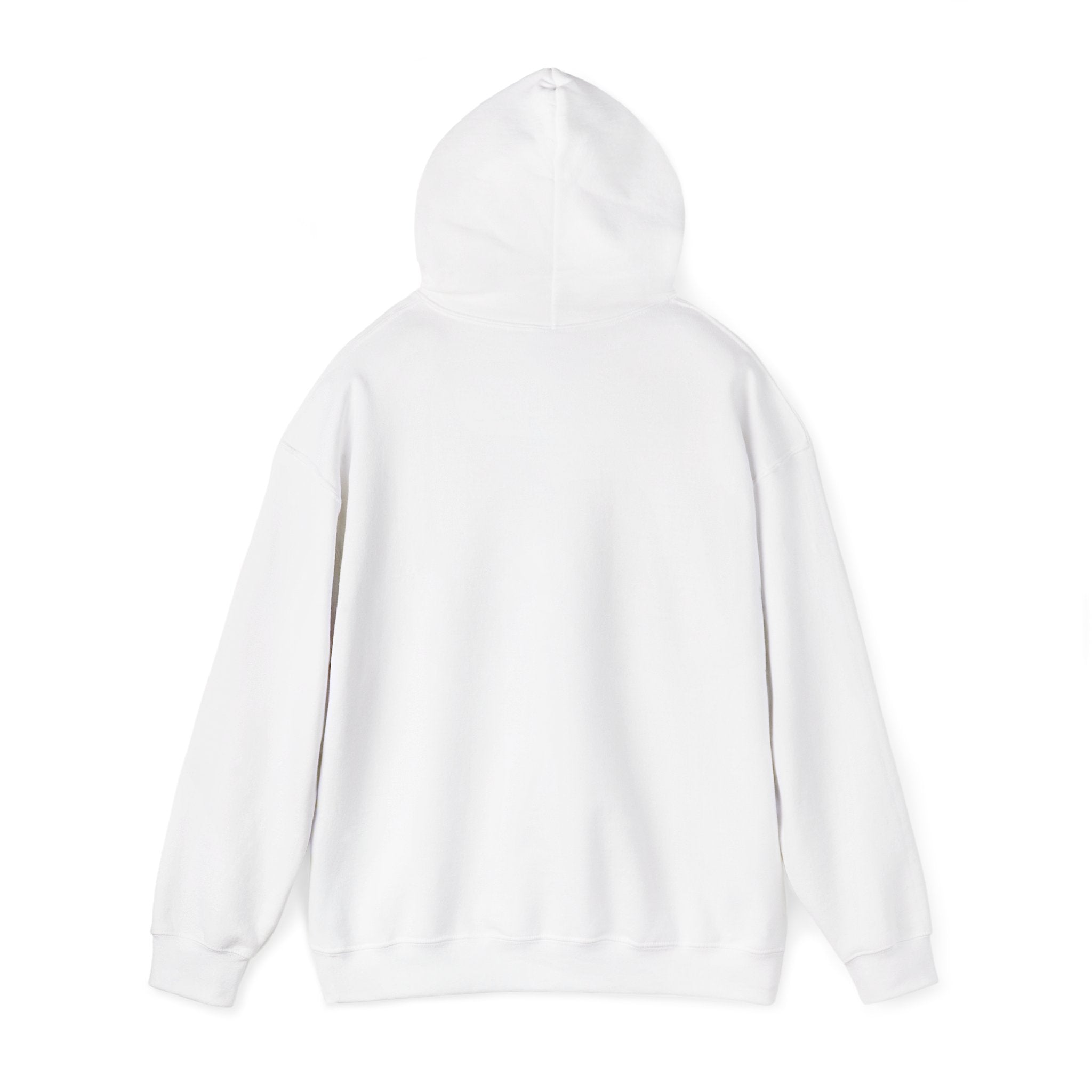 The Broke College Kid Crest — BCK Vintage Collegiate Emblem Hoodie