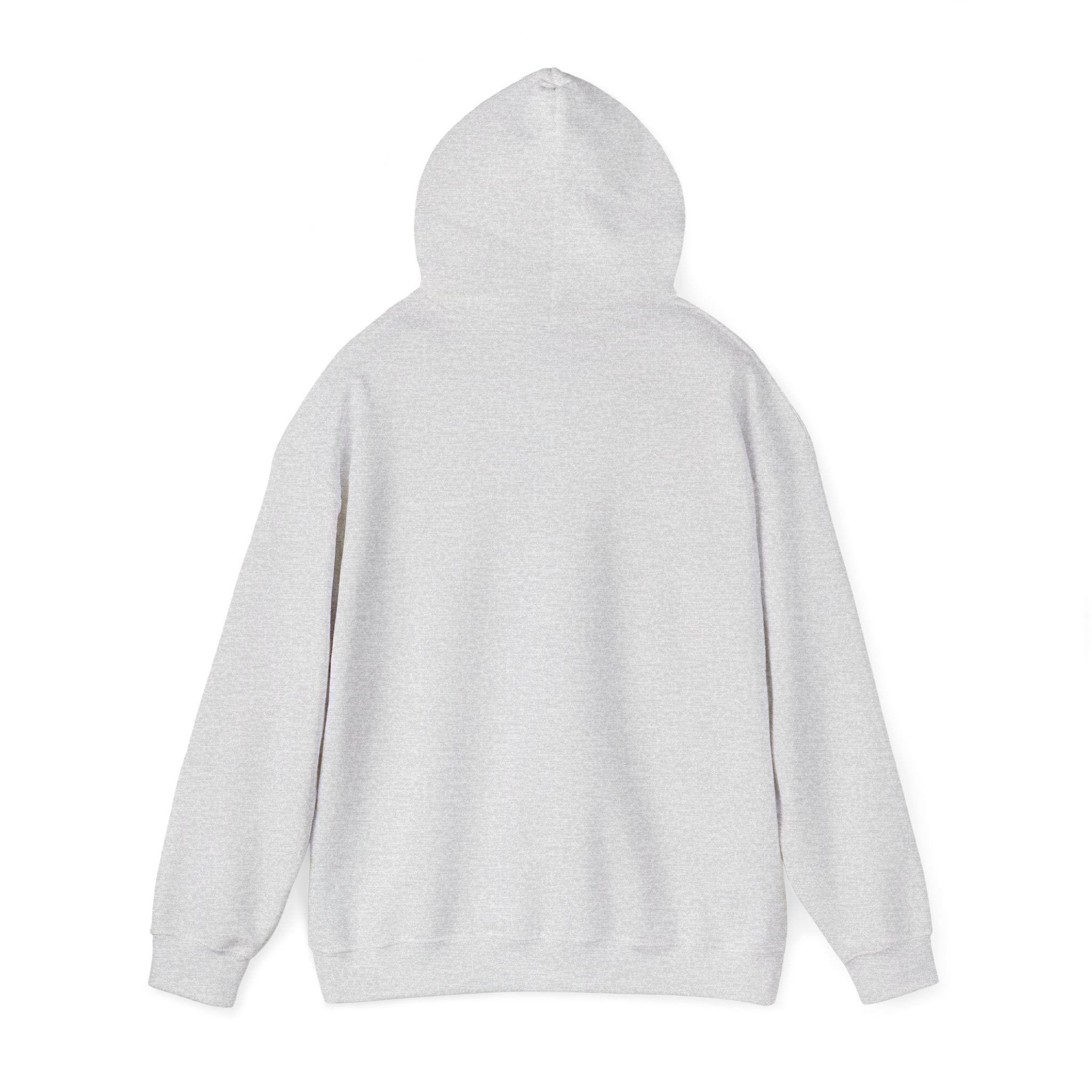 The Broke College Kid Crest — BCK Vintage Collegiate Emblem Hoodie