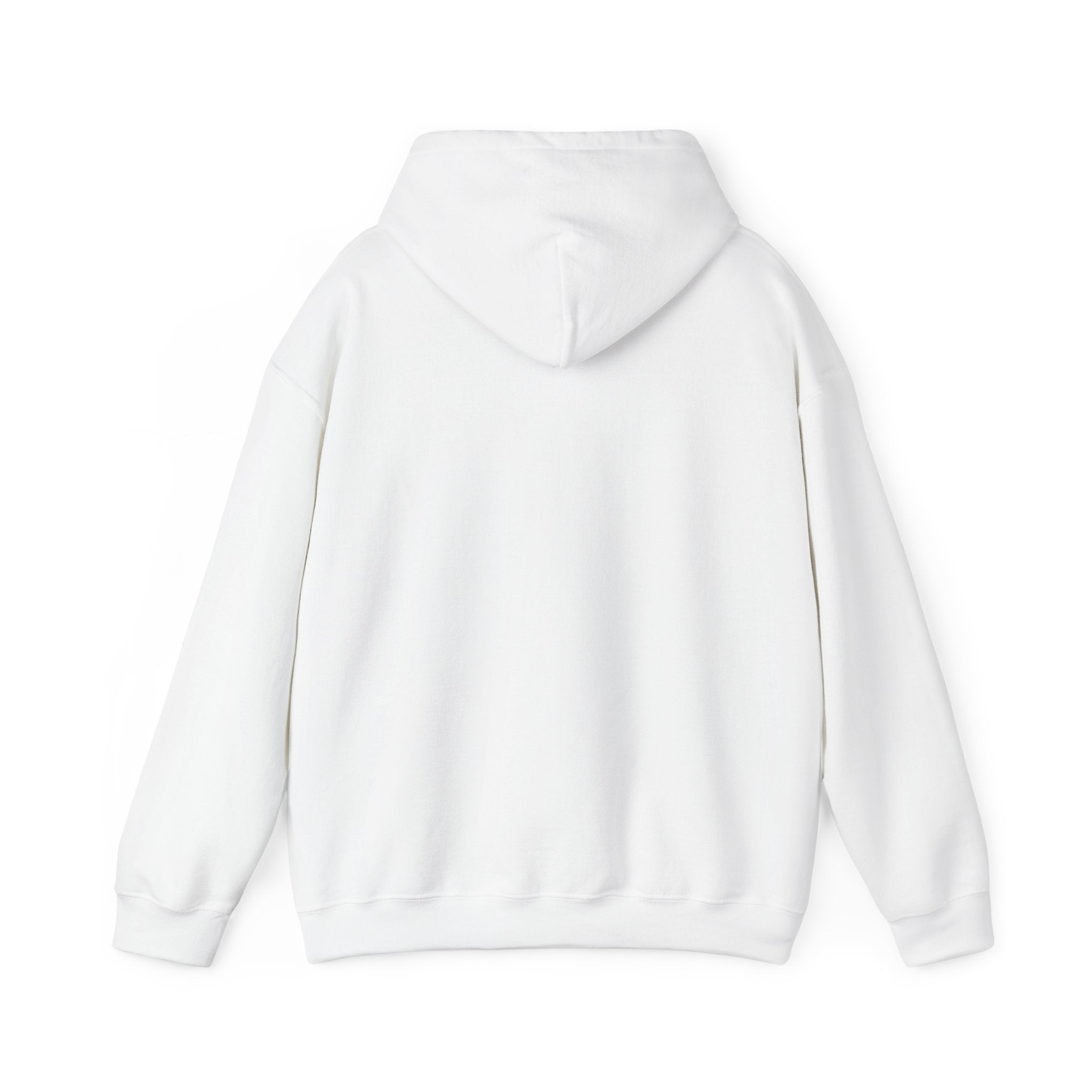 The Broke College Kid Crest — BCK Vintage Collegiate Emblem Hoodie