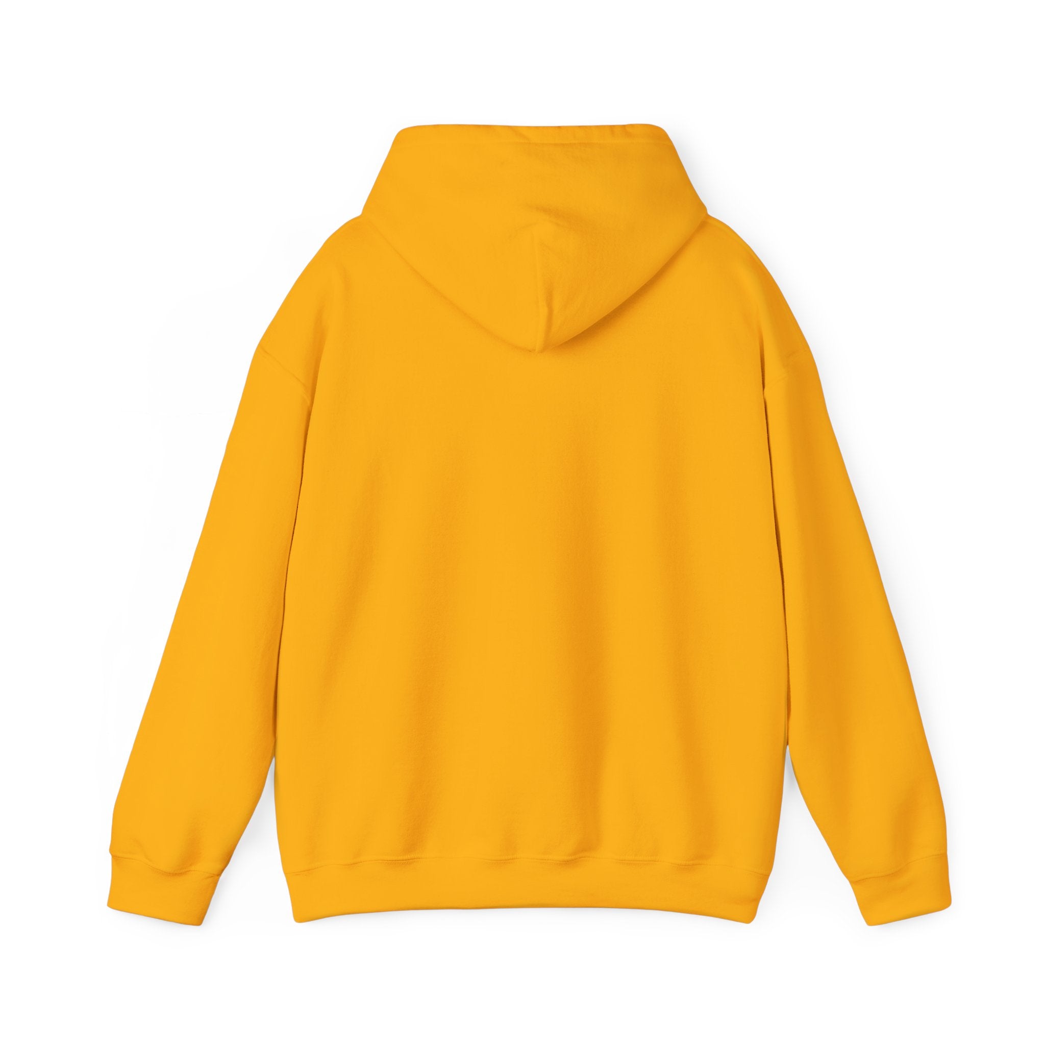 The Broke College Kid Crest — BCK Vintage Collegiate Emblem Hoodie